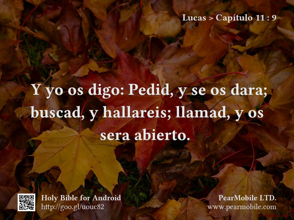 Lucas, Capítulo 11:9